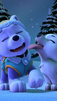 La Patrulla Canina. T6.  Episodio 19: La patrulla salva a un lobo blanco / La patrulla salva a un explorador despistado