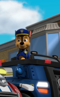 La patrulla canina. T8.  Episodio 17: La patrulla salva el fuerte de cajas / La patrulla salva a Travis el viajero de Morrolargo