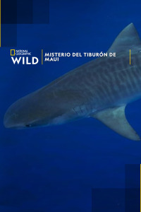 Misterio del tiburón de Maui