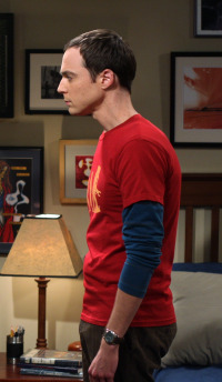 Big Bang. T2.  Episodio 10: El enigma Vartabedian