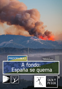 A fondo: España en llamas