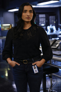 The Blacklist. T10.  Episodio 9: El granjero troll (nº 38): parte 3