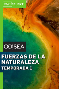 Fuerzas de la naturaleza. T1. Fuerzas de la naturaleza