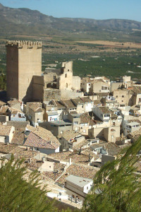 Murcia conecta. T22/23. Murcia conecta