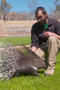 Animalades, un món bestial. T4. Animalades, un món bestial