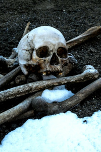 Arqueología en el hielo. T1.  Episodio 1: El misterio del lago de los esqueletos