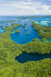 Arqueología en la jungla: El esqueleto misterioso de Belice T1 E2 