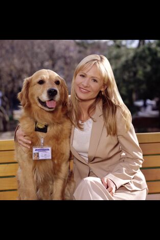 Sue Thomas: el ojo del FBI. T(T3). Sue Thomas: el ojo del FBI (T3)