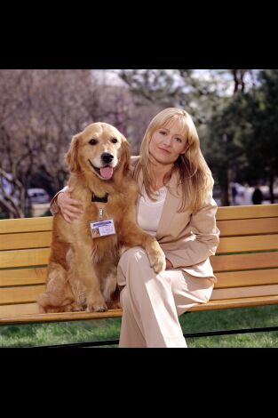 Sue Thomas: el ojo del FBI