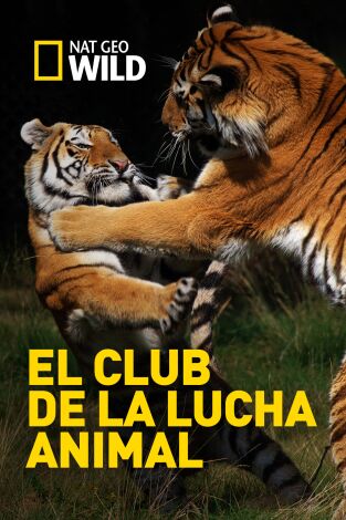 El club de la lucha animal. El club de la lucha animal 