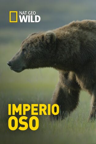 Imperio oso