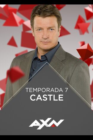 Castle. T(T7). Castle (T7): Ep.11 Castle, investigador privado