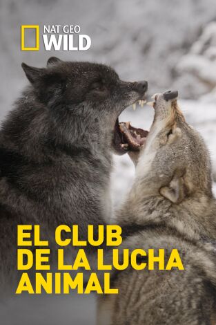 El club de la lucha animal