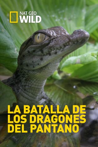 La batalla de los dragones del pantano