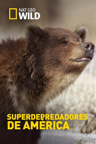 Superdepredadores de América