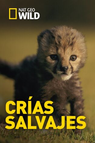 Crías salvajes 