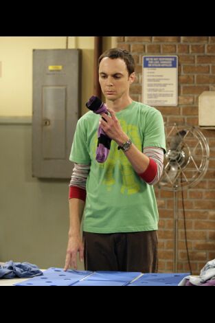 The Big Bang Theory. T(T2). The Big Bang Theory (T2): Ep.1 El paradigma del pescado malo