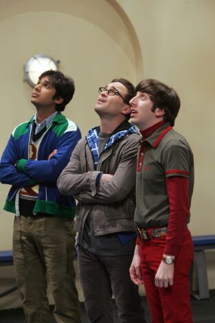 The Big Bang Theory. T(T2). The Big Bang Theory (T2): Ep.13 El algoritmo de la amistad