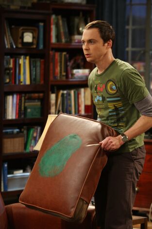 The Big Bang Theory. T(T2). The Big Bang Theory (T2): Ep.16 La saturación del cojín
