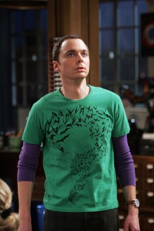 The Big Bang Theory. T(T2). The Big Bang Theory (T2): Ep.19 La yuxtaposicion de la prostituta muerta