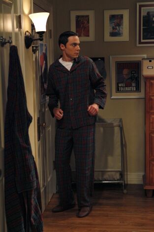 The Big Bang Theory. T(T3). The Big Bang Theory (T3): Ep.13 La reacción de bozeman