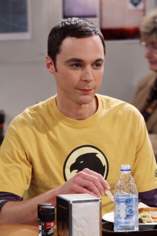 The Big Bang Theory. T(T4). The Big Bang Theory (T4): Ep.6 La fórmula de pub irlandés