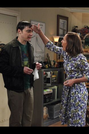 The Big Bang Theory. T(T5). The Big Bang Theory (T5): Ep.6 La revelación de la rinitis