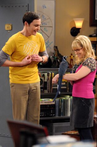 The Big Bang Theory. T(T5). The Big Bang Theory (T5): Ep.9 La difusión de la ornitofobia
