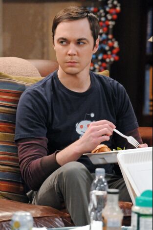The Big Bang Theory. T(T5). The Big Bang Theory (T5): Ep.16 La solución a las vacaciones