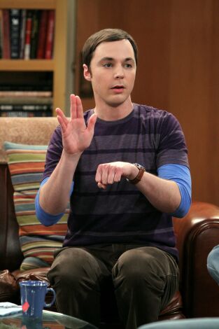 The Big Bang Theory. T(T5). The Big Bang Theory (T5): Ep.17 La desinfectación de Rothman