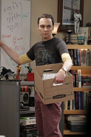 The Big Bang Theory. T(T6). The Big Bang Theory (T6): Ep.15 La segmentación de los finales desvelados
