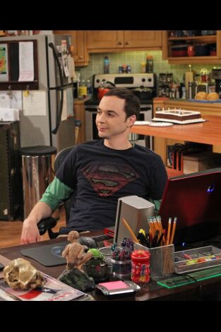 The Big Bang Theory. T(T6). The Big Bang Theory (T6): Ep.21 La alternativa de la finalización
