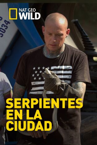 Serpientes en la ciudad. Serpientes en la ciudad: Pesadilla en la oficina