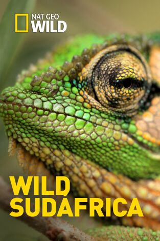 Wild Sudáfrica