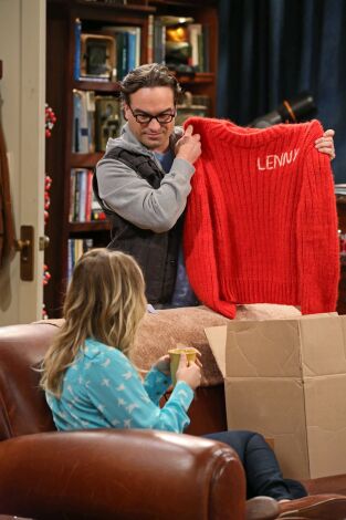 The Big Bang Theory. T(T7). The Big Bang Theory (T7): Ep.8 La simulación del picor de cerebro
