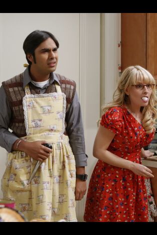 The Big Bang Theory. T(T7). The Big Bang Theory (T7): Ep.9 El desacoplamiento de Acción de Gracias