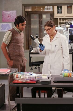 The Big Bang Theory. T(T7). The Big Bang Theory (T7): Ep.17 La turbulencia de la amistad