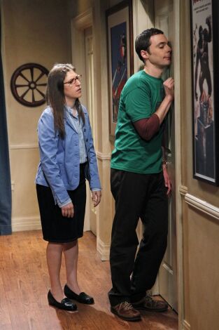 The Big Bang Theory. T(T7). The Big Bang Theory (T7): Ep.20 La disjunción de la relación