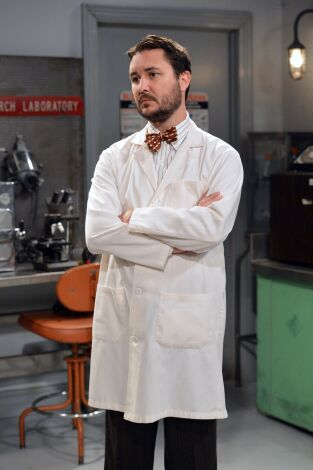 The Big Bang Theory. T(T7). The Big Bang Theory (T7): Ep.23 La disolución del gorila