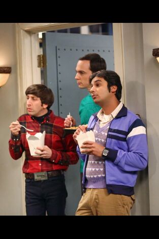 The Big Bang Theory. T(T8). The Big Bang Theory (T8): Ep.7 La agitación de la malinterpretación