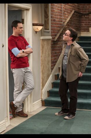 The Big Bang Theory. T10.  Episodio 10: La colisión de la división de la propiedad