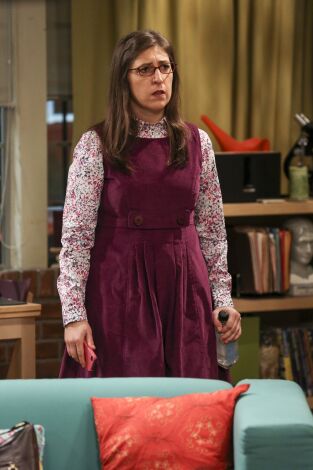 The Big Bang Theory. T(T10). The Big Bang Theory (T10): Ep.16 La evaporación de la asignación