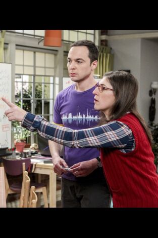 The Big Bang Theory. T10.  Episodio 19: La fluctuación de la colaboración