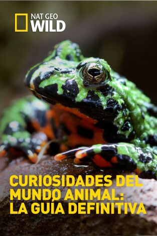 Curiosidades del mundo animal: la guía definitiva. Curiosidades del mundo animal: la guía definitiva 