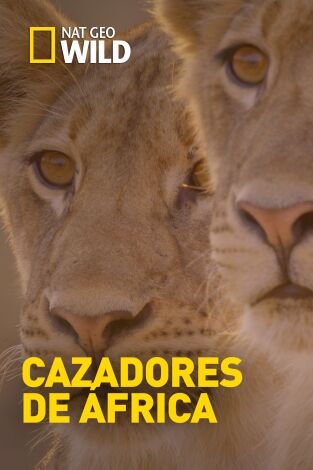 Cazadores de África. Cazadores de África: Los juicios de Olimba