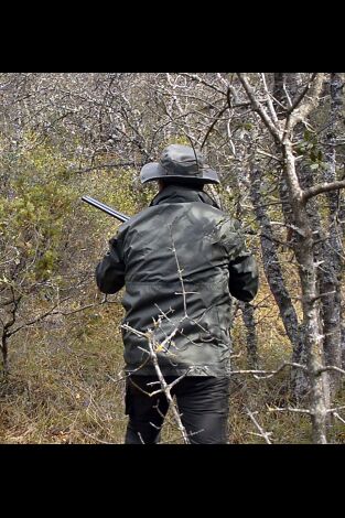 Becadas, un regalo del invierno