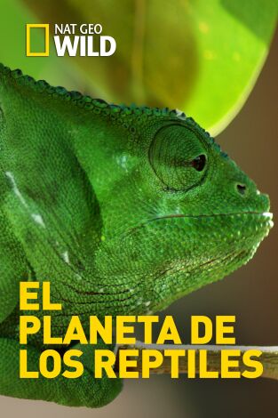 El planeta de los reptiles