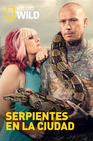Serpientes en la ciudad. Serpientes en la ciudad: Mamá mamba