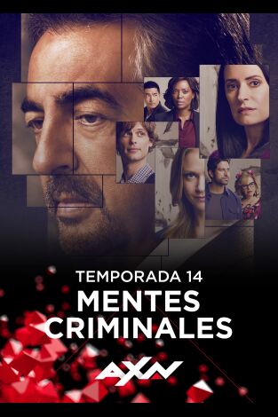 Mentes criminales. T(T14). Mentes criminales (T14)