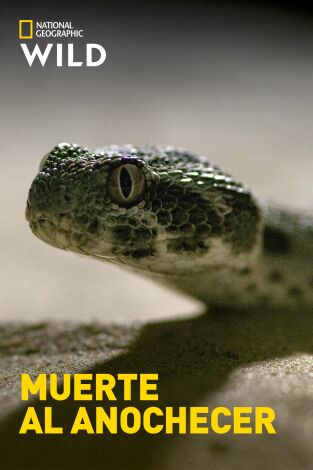 Muerte al anochecer